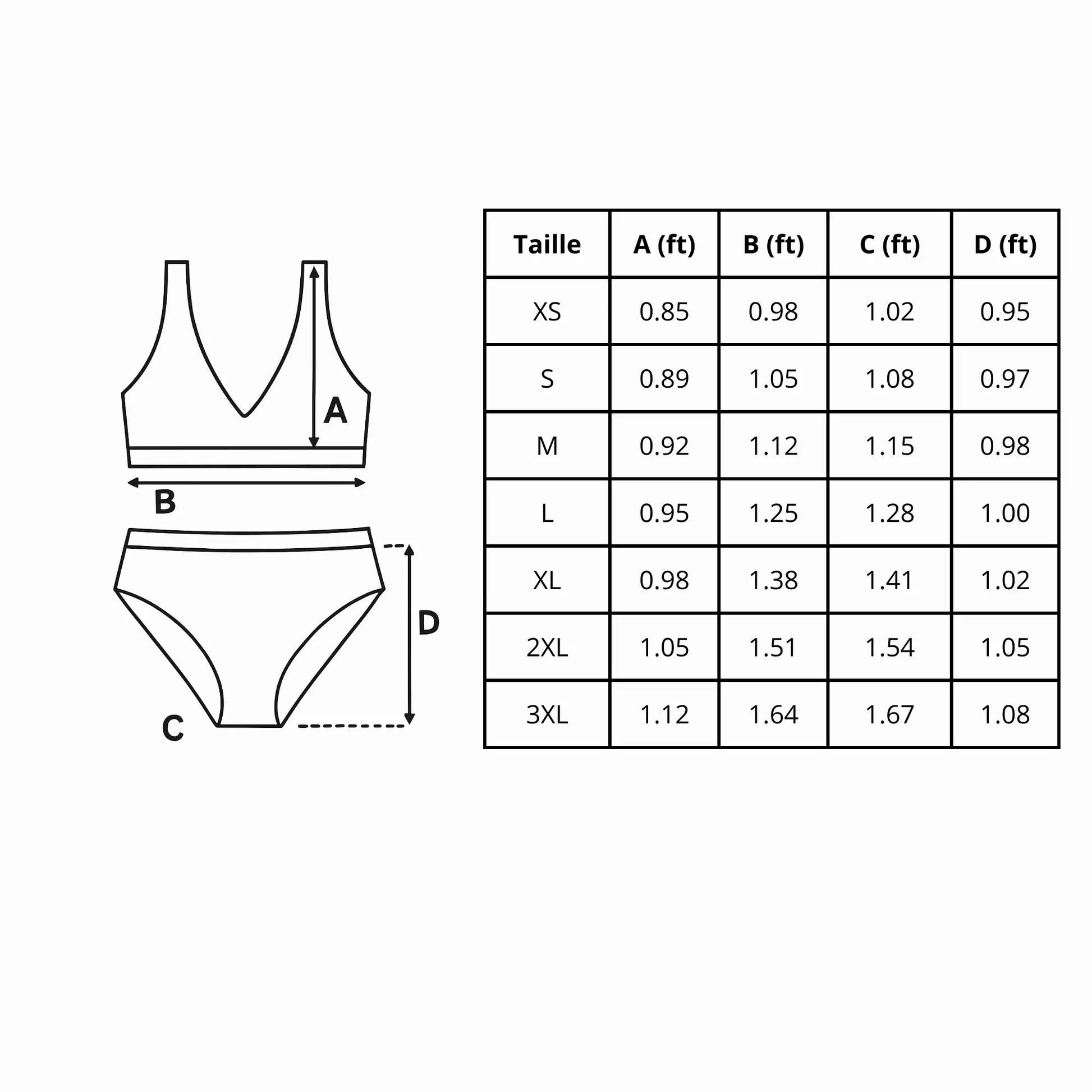 Maillot De Bain Femme – Drapeau De L'Antarctique – 2 Pièces